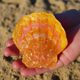 Sunrise Shell Hair Claw Clip