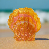 Sunrise Shell Hair Claw Clip